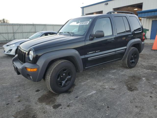 Global Auto Auctions: 2003 JEEP LIBERTY SP
