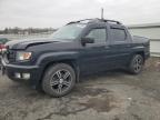 Lot #3303879738 2014 HONDA RIDGELINE