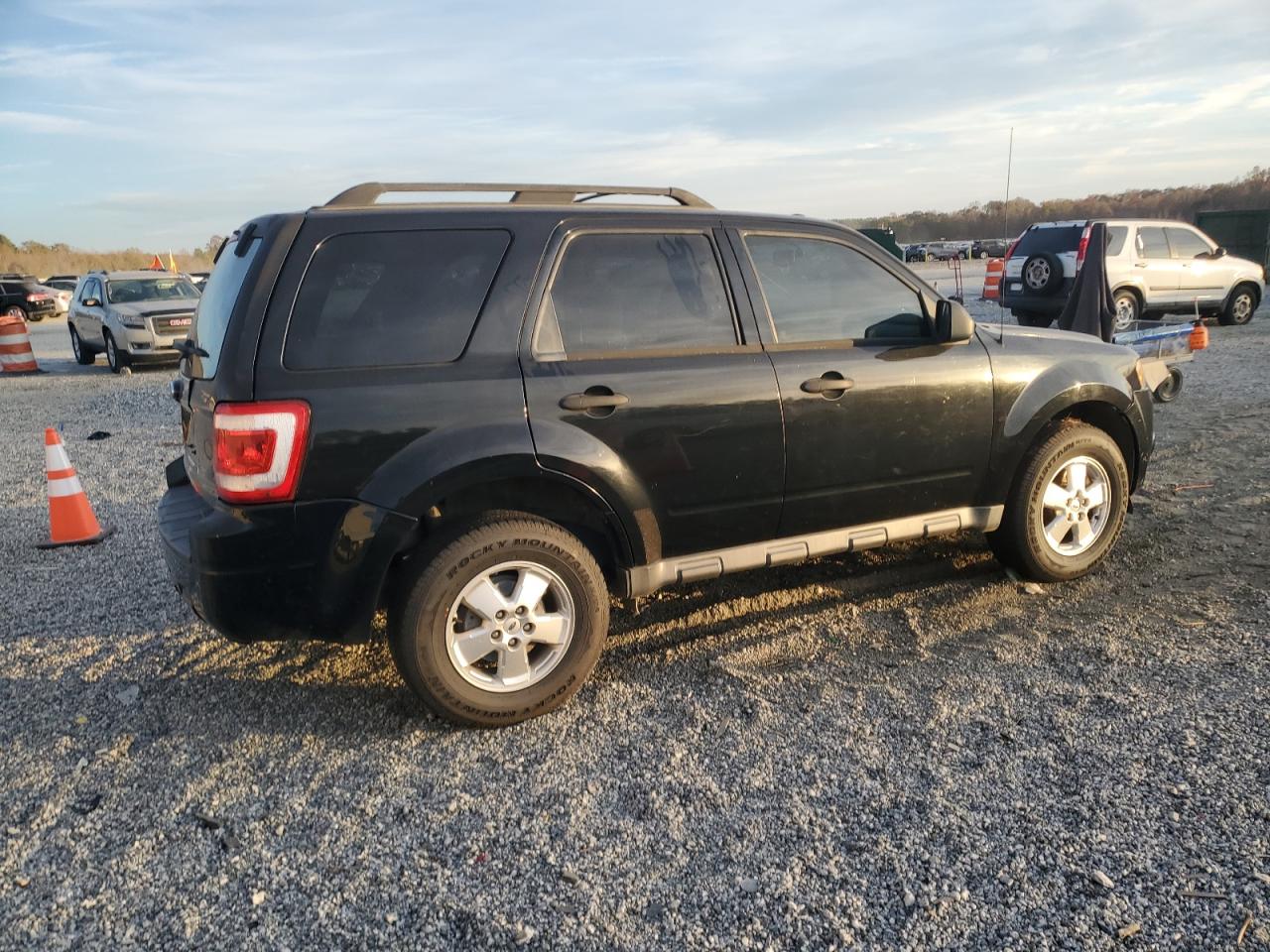 Lot #3303655931 2010 FORD ESCAPE XLT