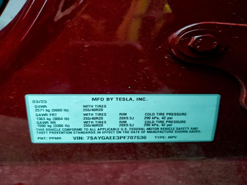 2023 TESLA MODEL Y #3302825942