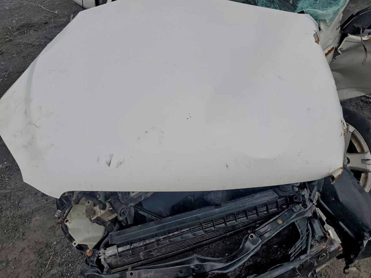 Lot #3305374370 2008 TOYOTA RAV4 SPORT