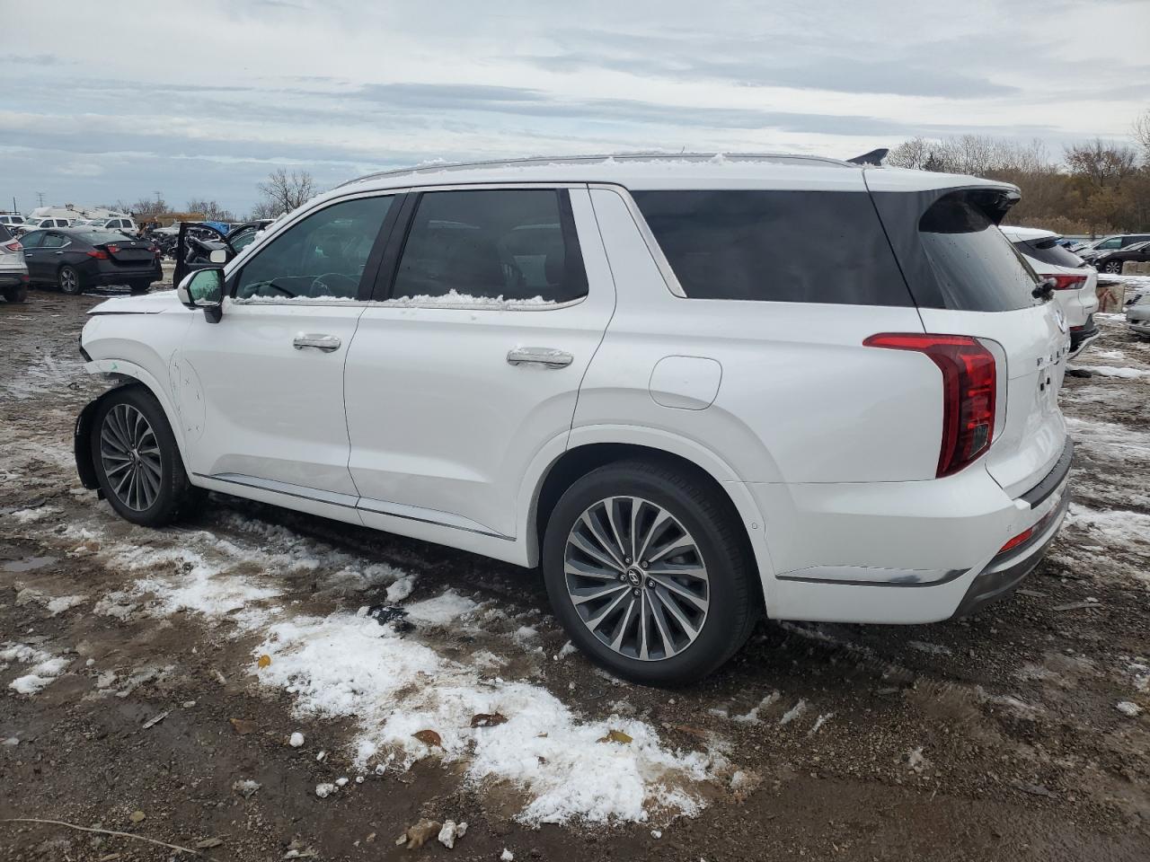 HYUNDAI PALISADE CALLIGRAPHY