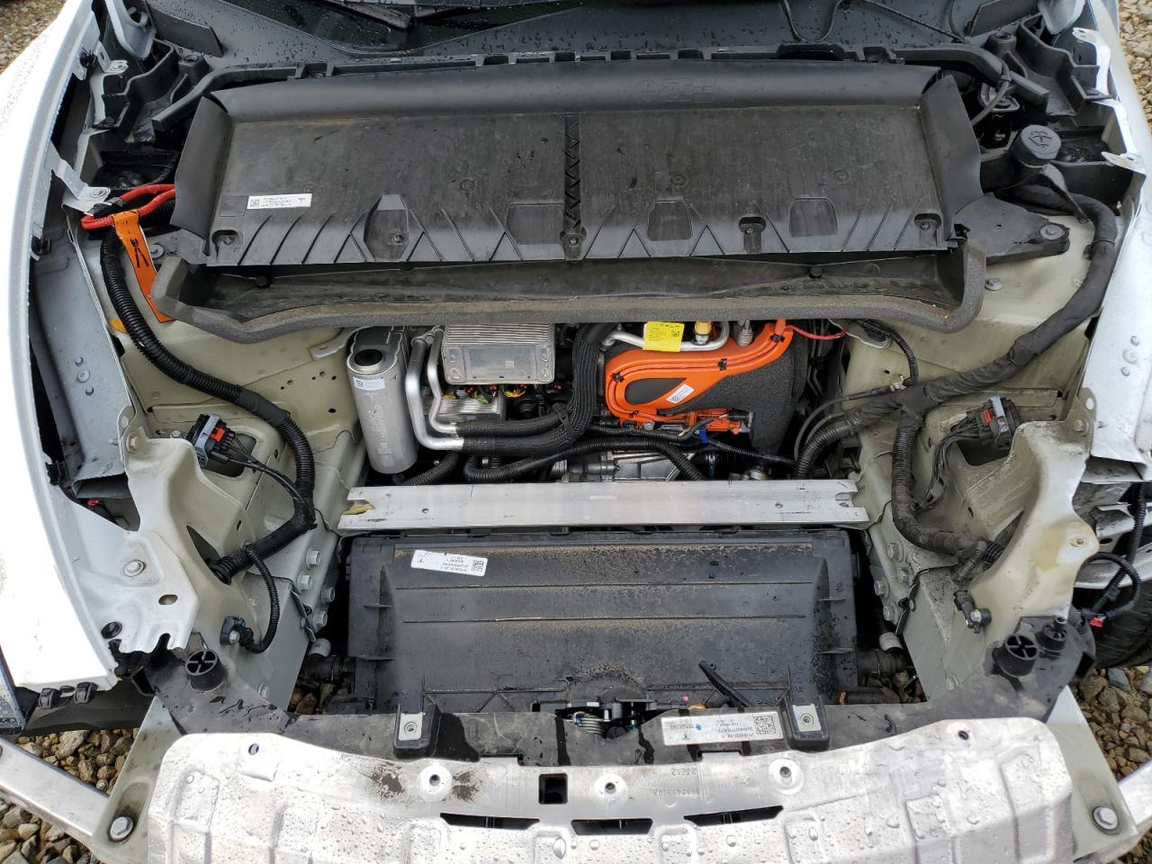 Lot #3309649987 2023 TESLA MODEL Y