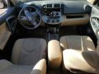 Lot #3304731905 2010 TOYOTA RAV4