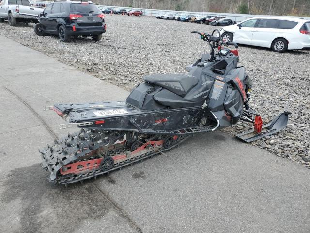 2020 POLA 800 CL #3308348047