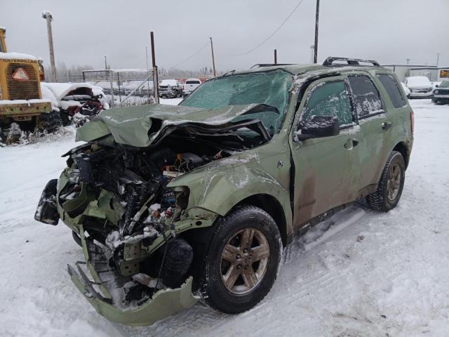 Global Auto Auctions: 2008 FORD ESCAPE HEV