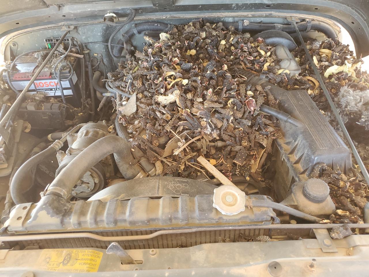 Lot #3286782907 1992 JEEP WRANGLER /