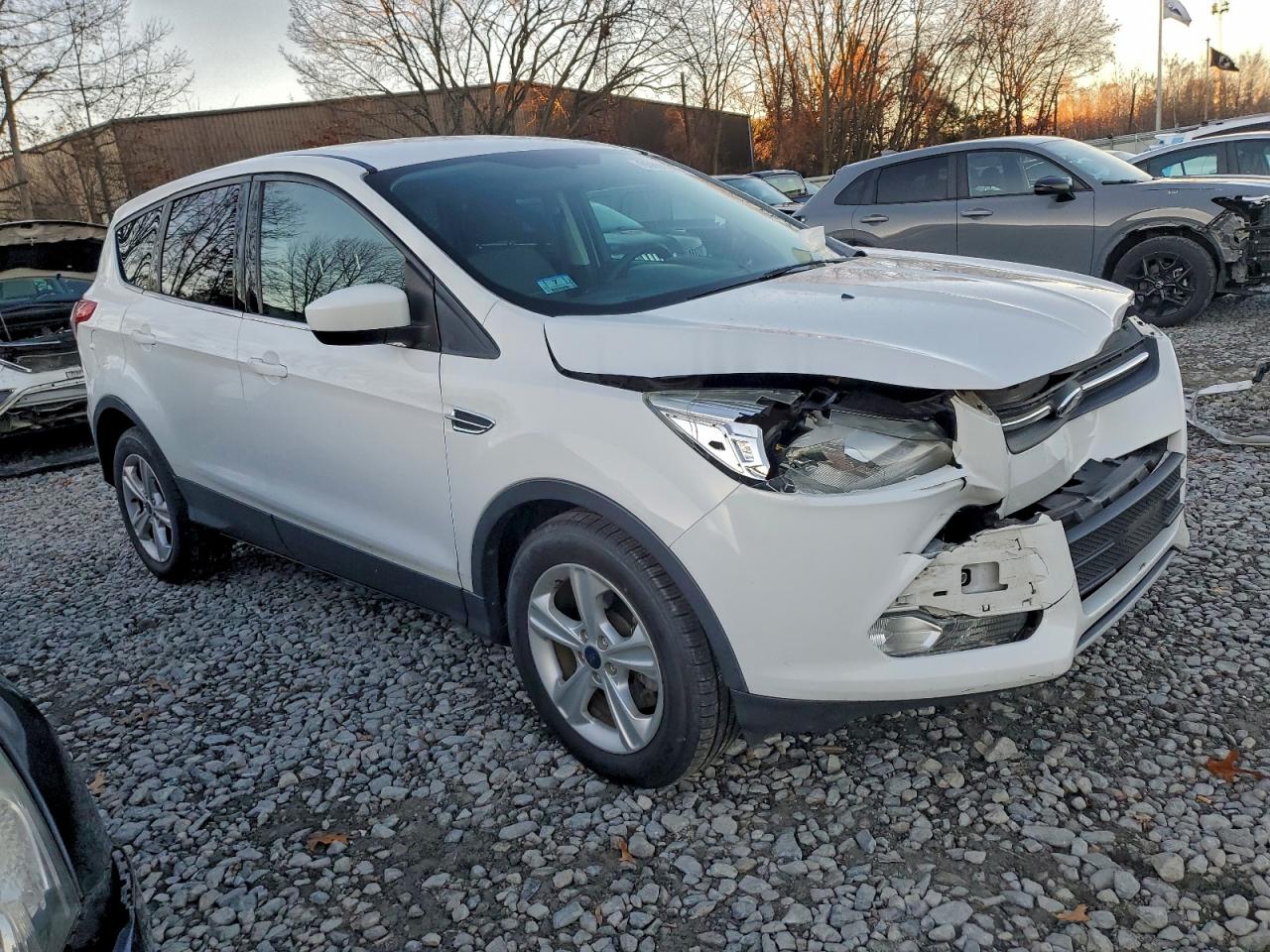 Lot #3312289769 2014 FORD ESCAPE SE