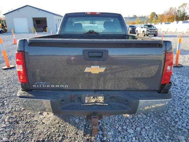 2010 CHEVROLET SILVERADO - 1GCSCPEX8AZ260724