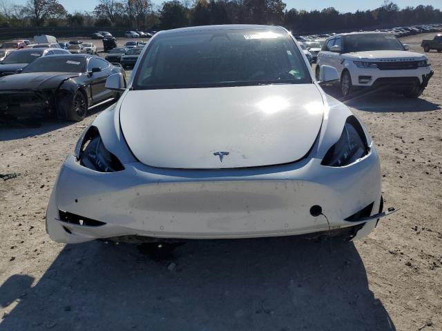 2021 TESLA MODEL Y #3304737924