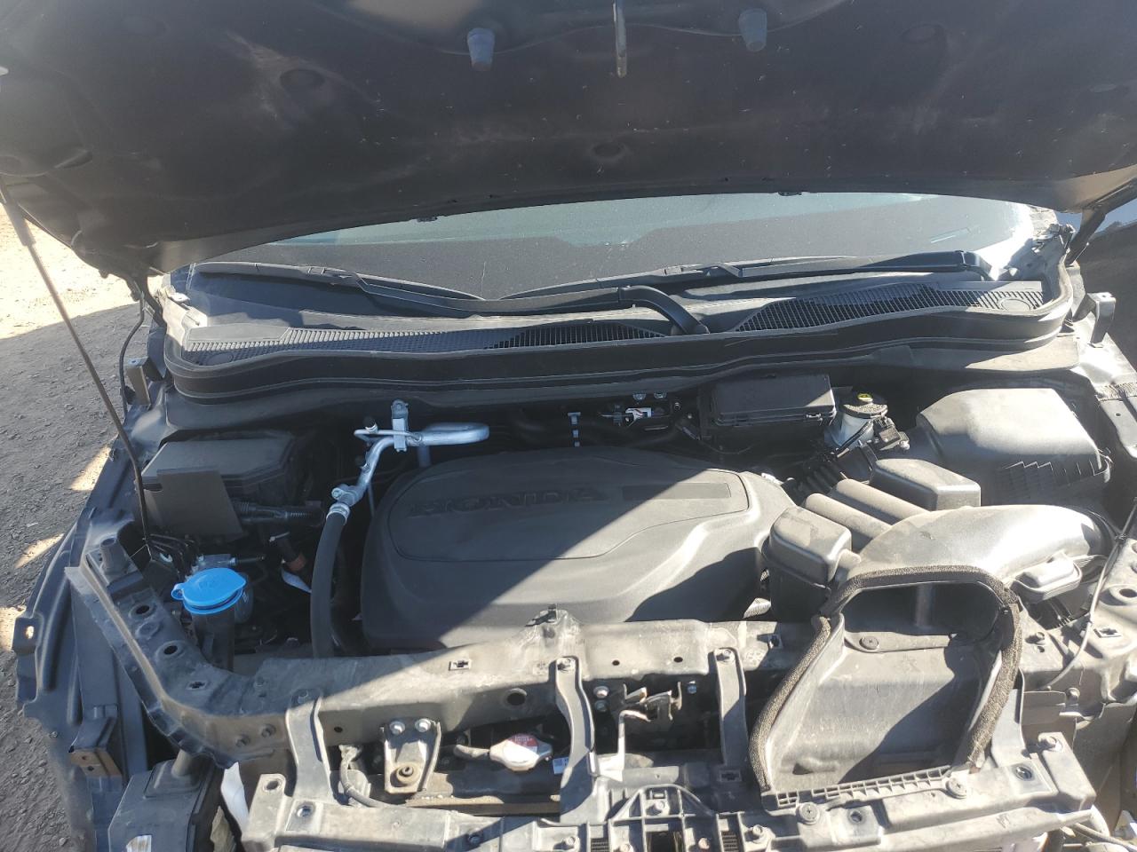 HONDA PASSPORT TRAIL SPORT