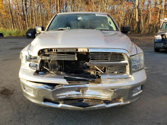 2010 DODGE RAM 1500 - 1D7RV1GP2AS235013