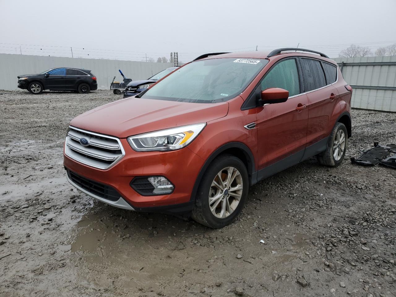 Lot #3296229495 2019 FORD ESCAPE SEL