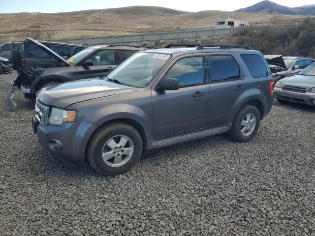 Global Auto Auctions: 2010 FORD ESCAPE XLT
