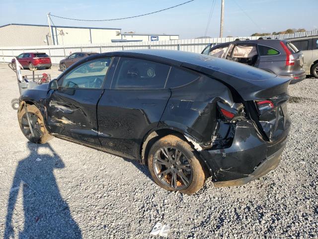 2025 TESLA MODEL Y #3287409364