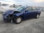 Lot #3303659927 2007 TOYOTA CAMRY CE