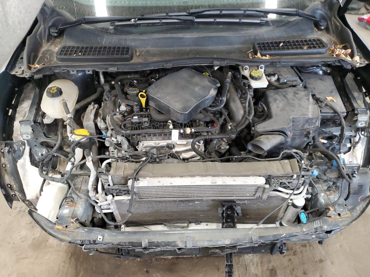 Lot #3315896207 2019 FORD ESCAPE SEL