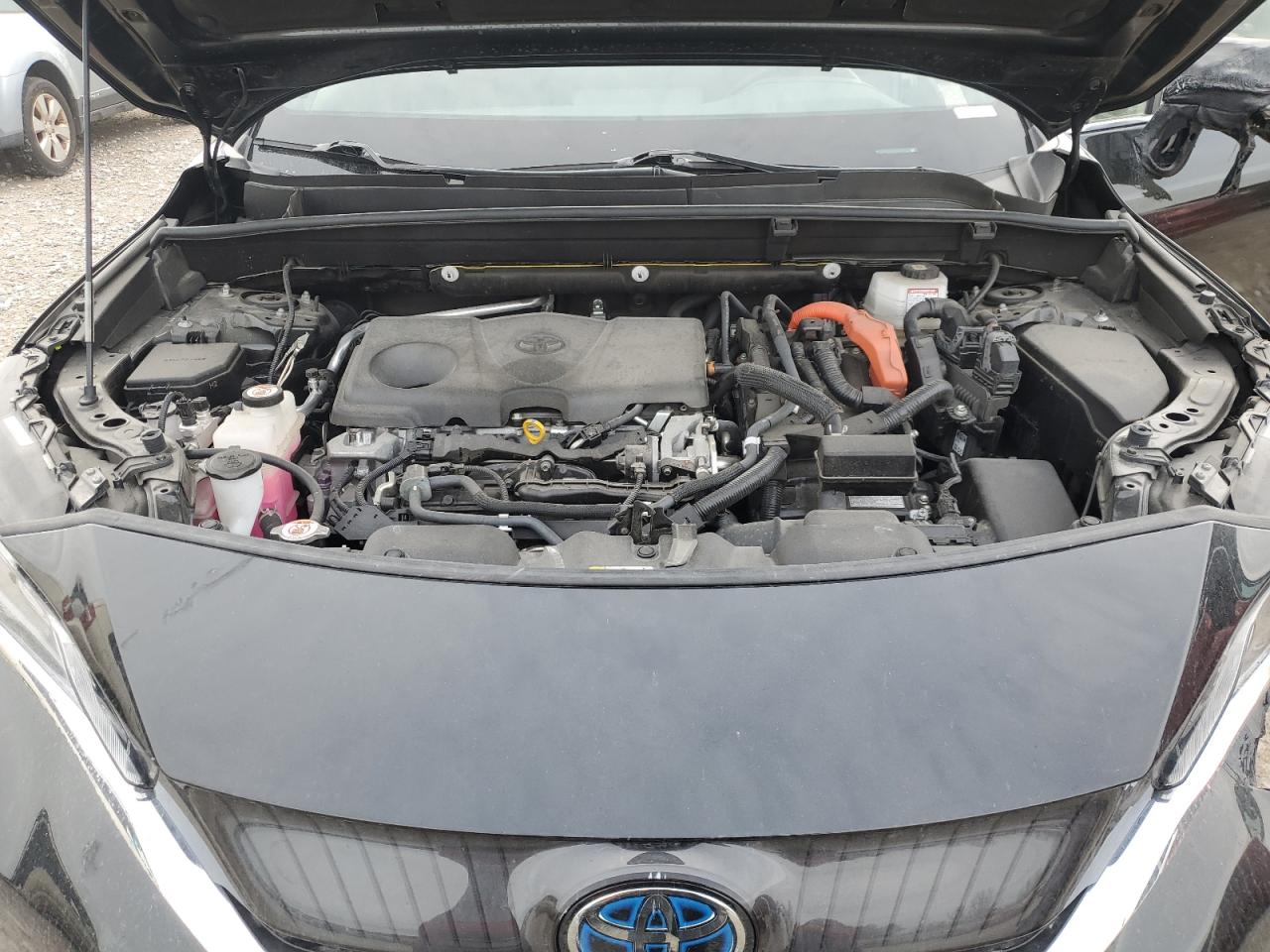 Lot #3317838228 2021 TOYOTA VENZA LE