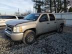 Lot #3305539080 2009 CHEVROLET SILVERADO