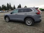 Lot #3293318463 2024 HONDA CR-V EX