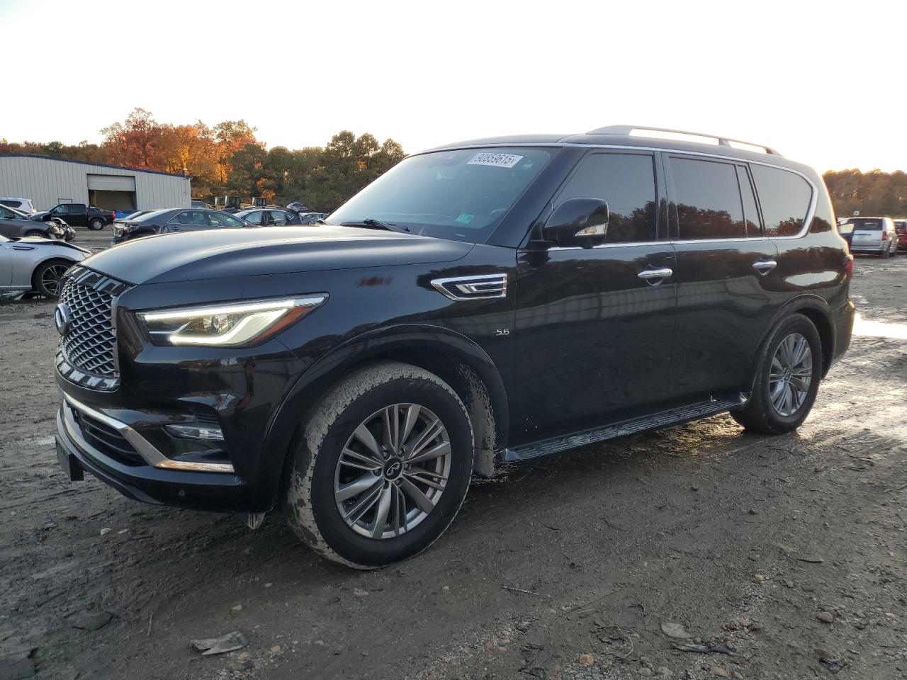 Lot #3284680363 2020 INFINITI QX80 LUXE