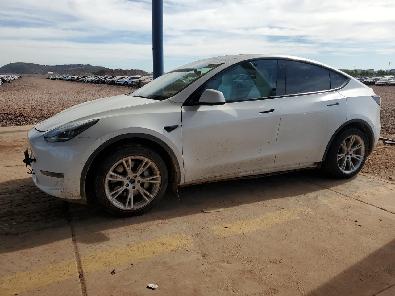 Lot #3298153264 2022 TESLA MODEL Y