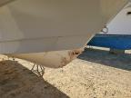 Lot #3296334413 2019 PANGA MARINE BOAT