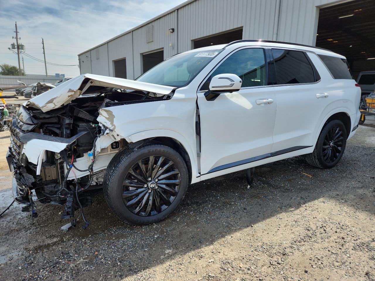 HYUNDAI PALISADE CALLIGRAPHY