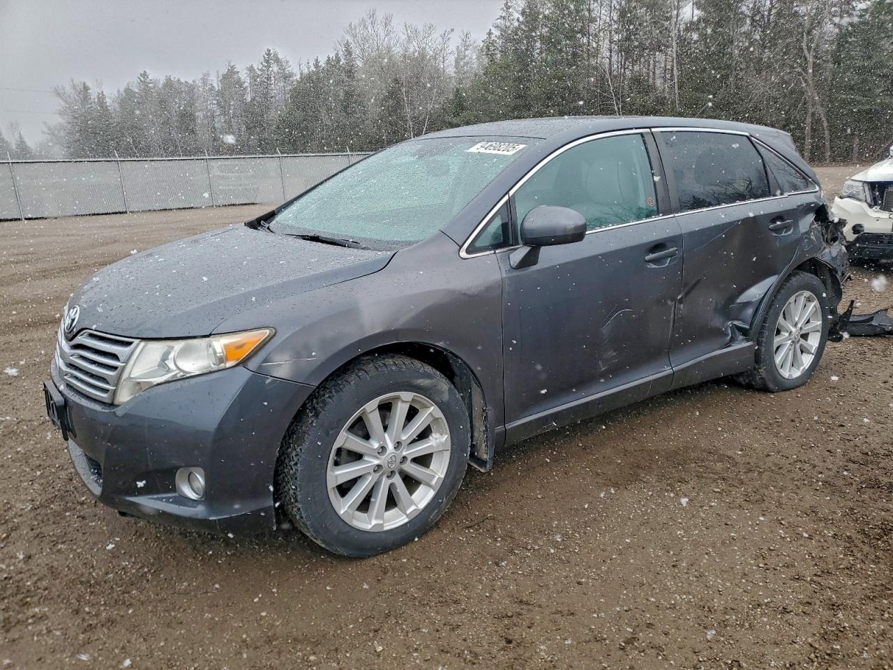 TOYOTA VENZA