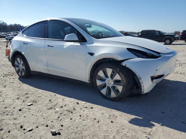 2021 TESLA MODEL Y #3304737924