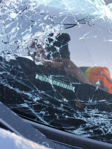 2025 KIA TELLURIDE #3316837653