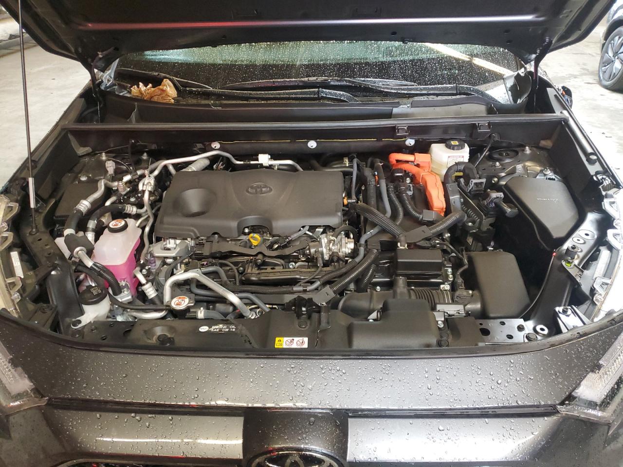 Lot #3305401303 2025 TOYOTA RAV4 XSE