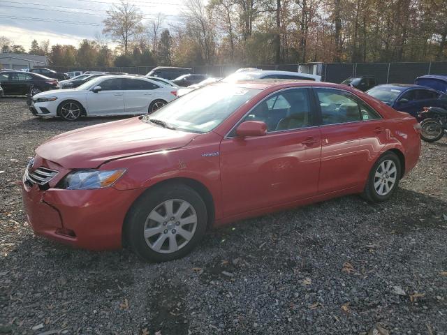 Global Auto Auctions: 2008 TOYOTA CAMRY HYBR