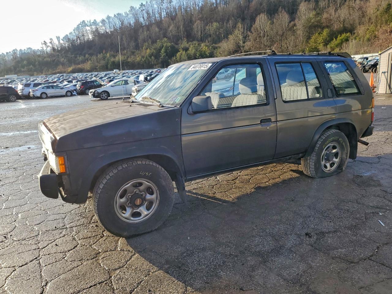 Lot #3301795340 1995 NISSAN PATHFINDER