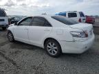 Lot #3293472420 2009 TOYOTA CAMRY BASE