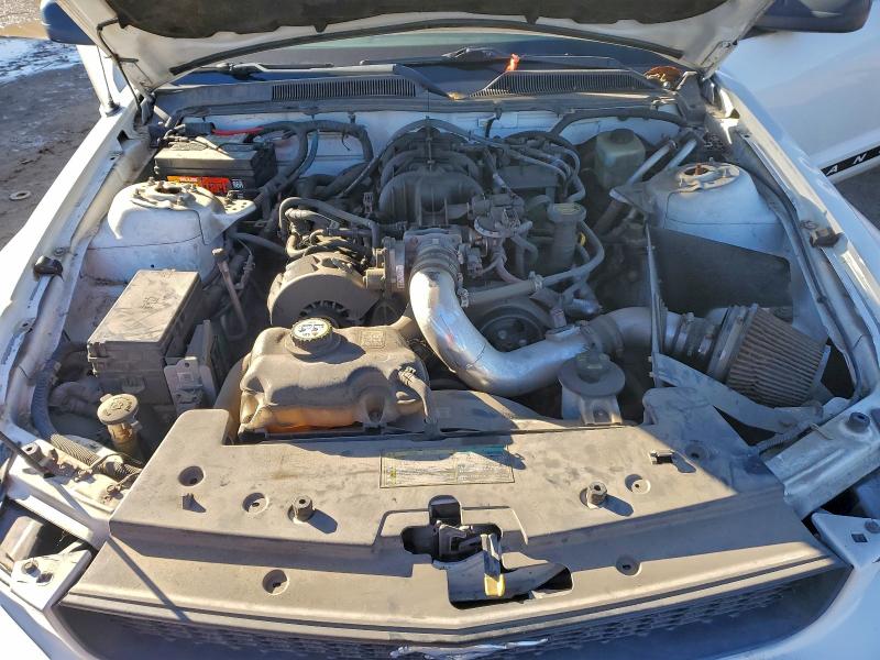 2005 FORD MUSTANG #3304641947