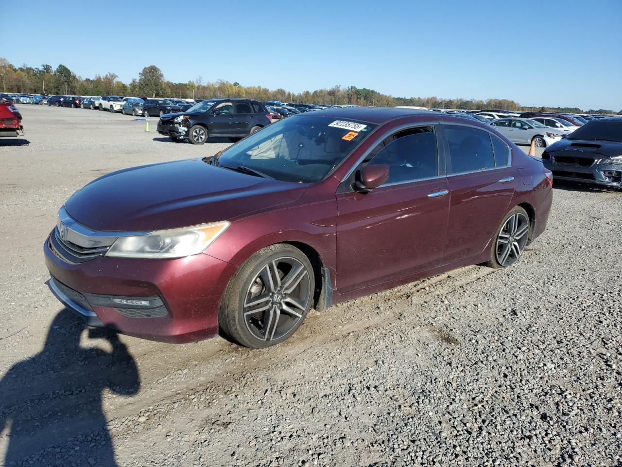 HONDA ACCORD SPORT
