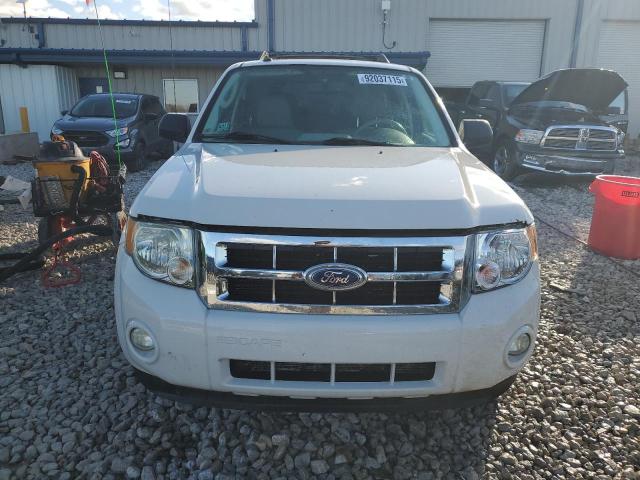 2011 FORD ESCAPE XLT - 1FMCU9DG8BKC62168