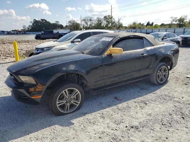 2010 FORD MUSTANG #3304523438