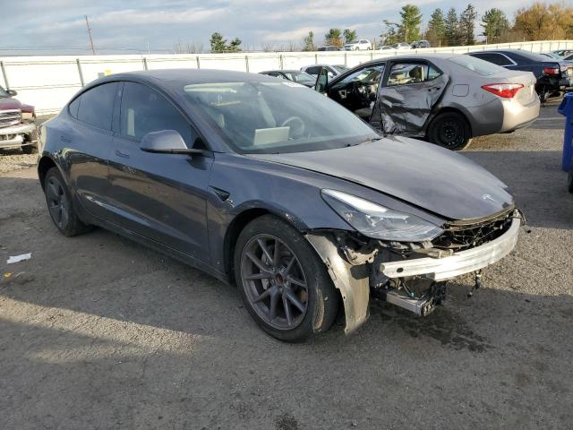 2023 TESLA MODEL 3 #3304669960