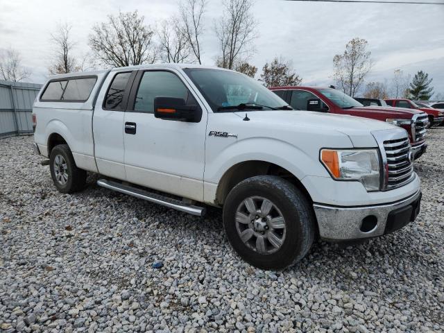 2012 FORD F150 SUPER - 1FTFX1CF2CFB81986