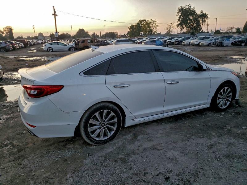 2015 HYUNDAI SONATA SPO #3297195417