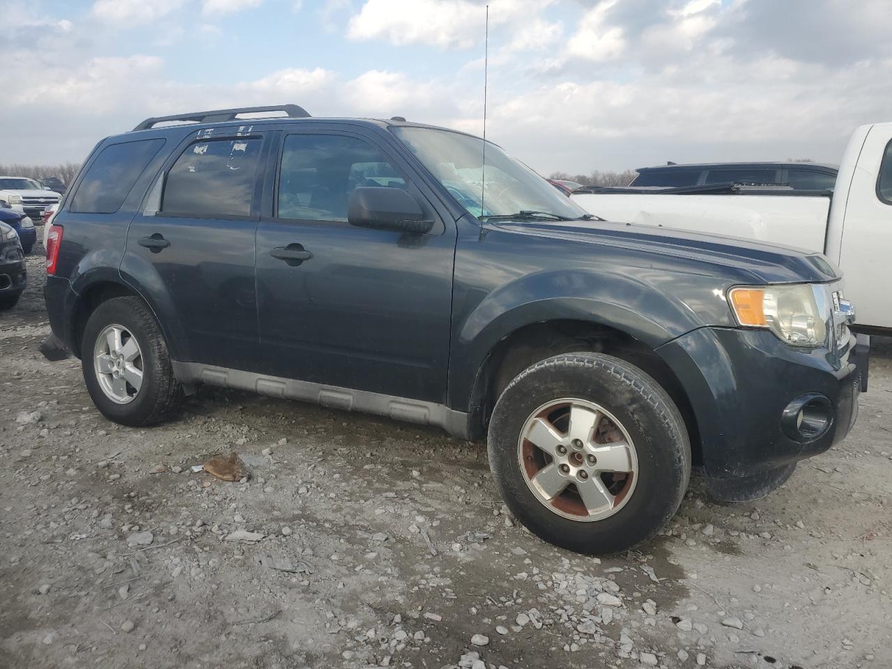 Lot #3297321410 2009 FORD ESCAPE XLT