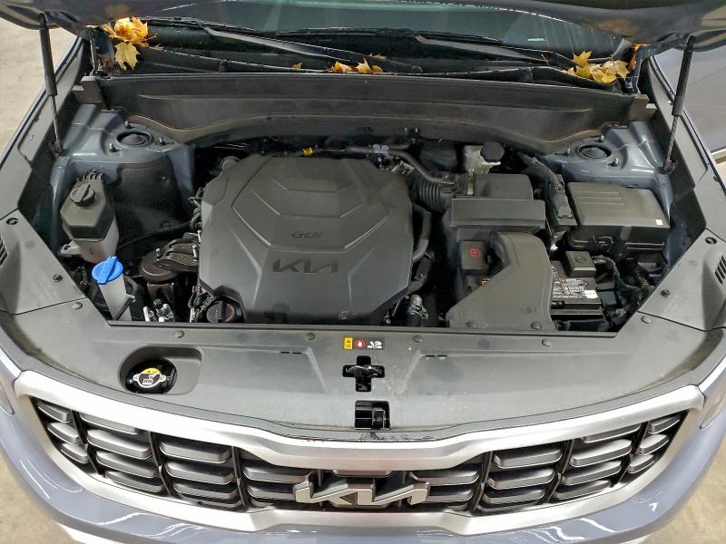 2025 KIA TELLURIDE #3304606454