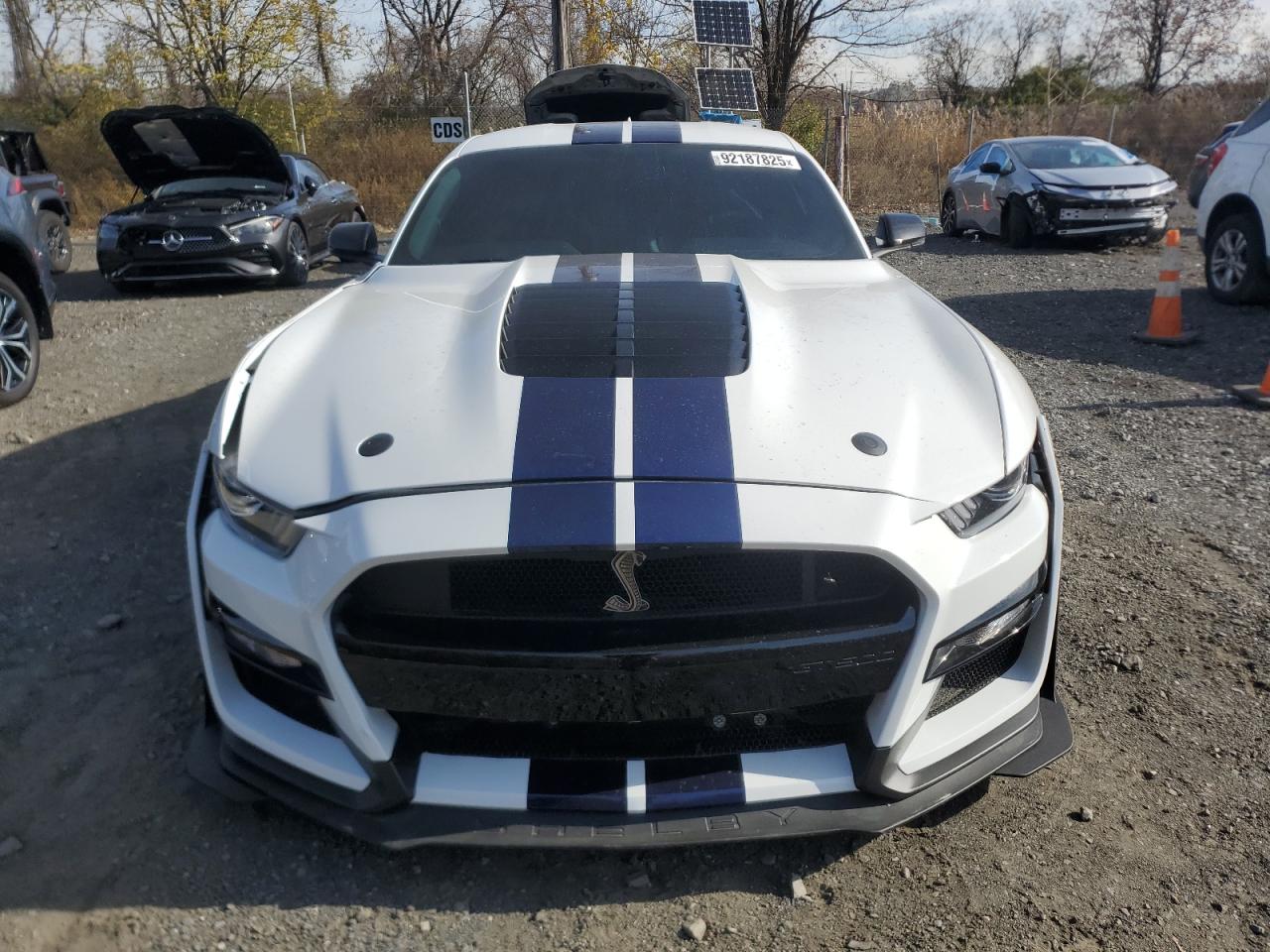 FORD MUSTANG SHELBY GT500