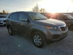 Lot #3292452689 2012 KIA SORENTO BA