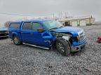 Lot #3309365963 2014 FORD F150 SUPER