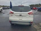 Lot #3297999081 2013 FORD ESCAPE SEL