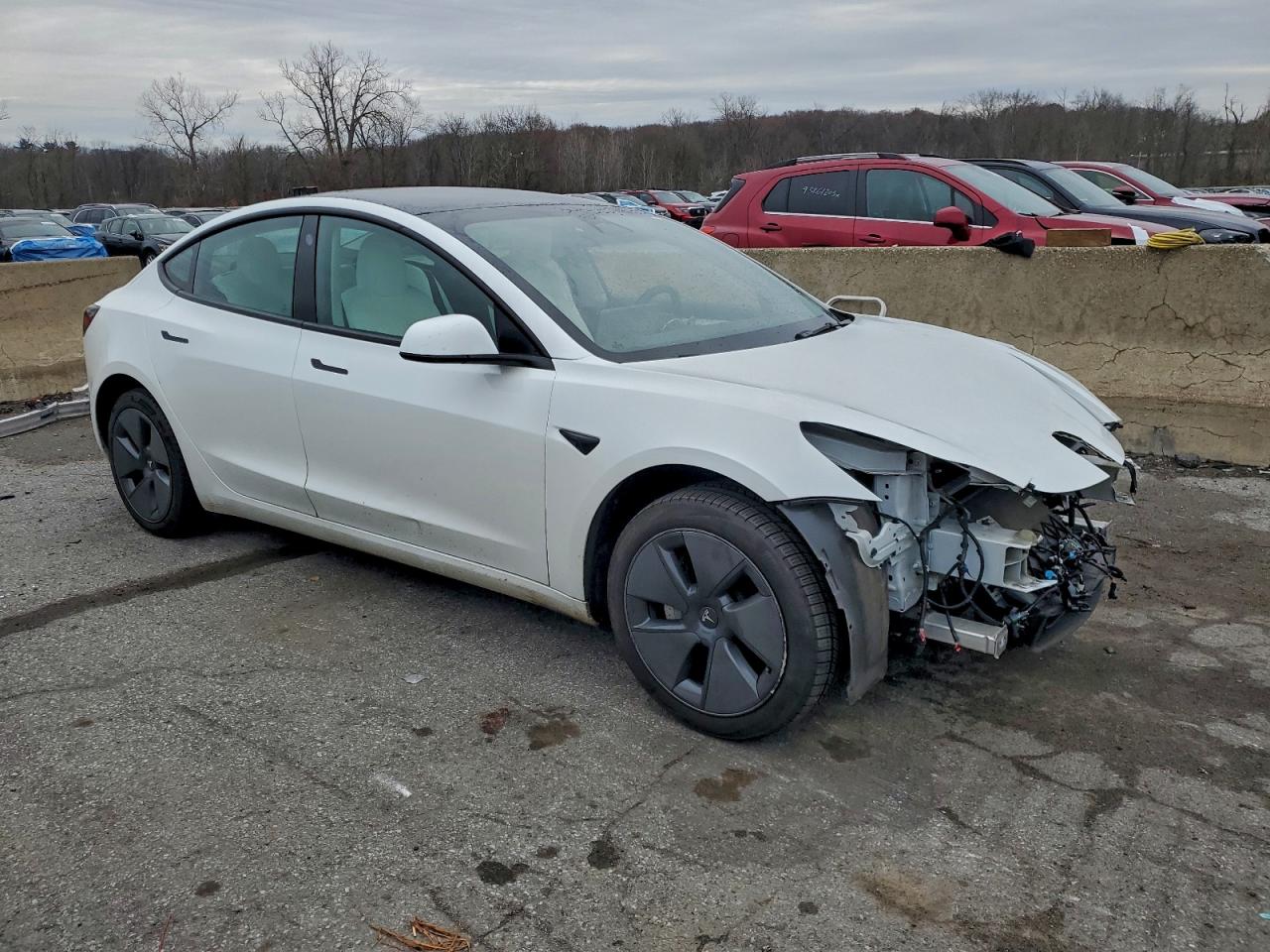 Lot #3318871027 2022 TESLA MODEL 3