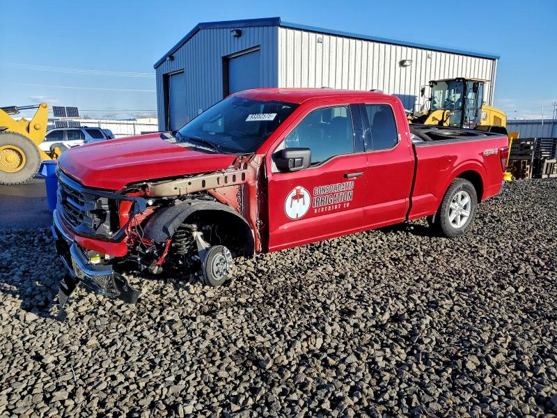 2025 FORD F150 XLT #3303639949